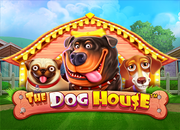 doghouse