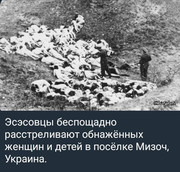 https://i.postimg.cc/N9jHfQg9/photo-2026-09-18-11-03-07.jpg
