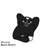 2024-08-26-11s-Kleki-1