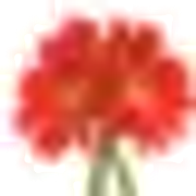 050.