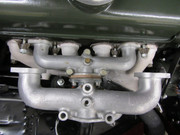 IMG-0113-1.jpg