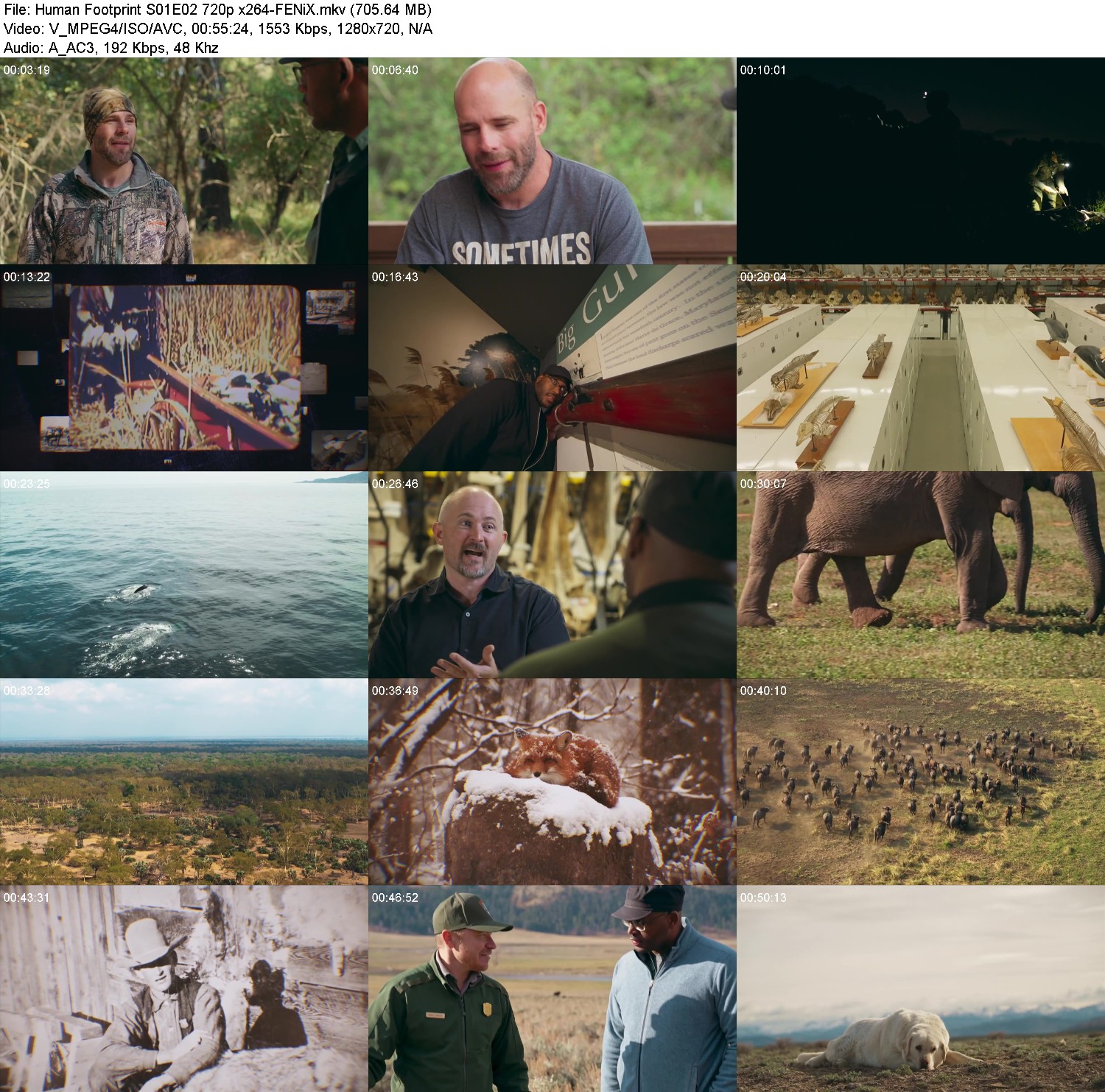 [Image: 0zmn28jkcg0h.jpg]