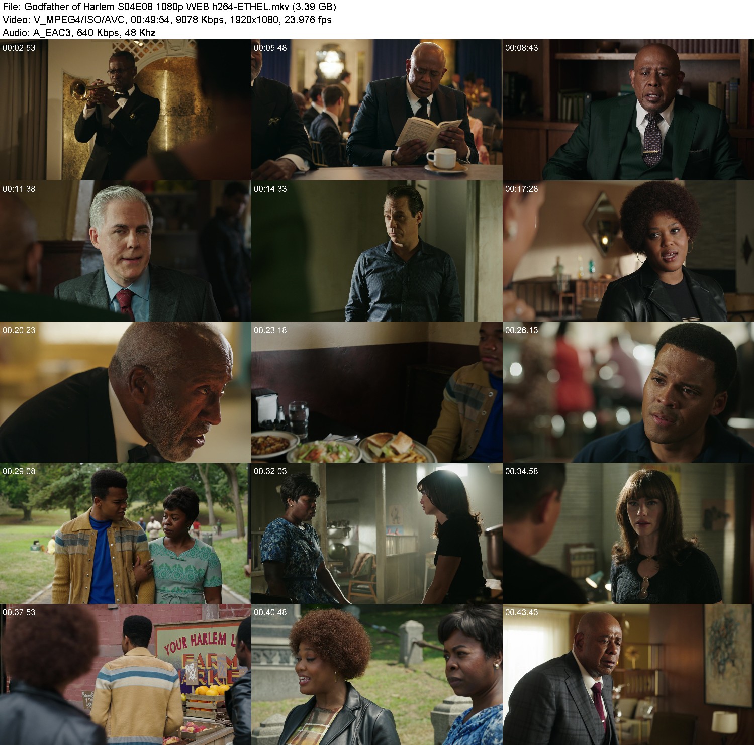 [Image: 2hso3z5ylf4g.jpg]