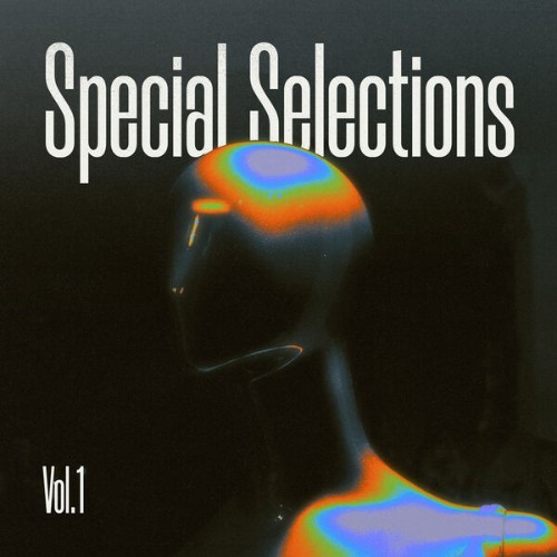 VA-Special-Selections-Vol-1-CAT1611081-W