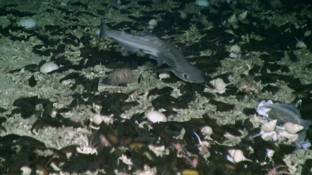 [Image: lhf8f93u4uhx.jpg]