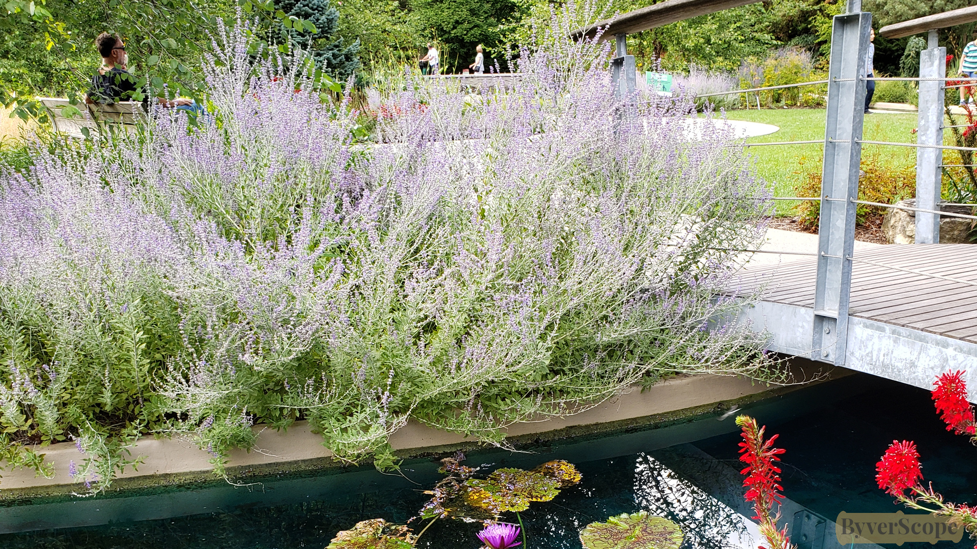 Royal Botanical Gardens - Rock Garden