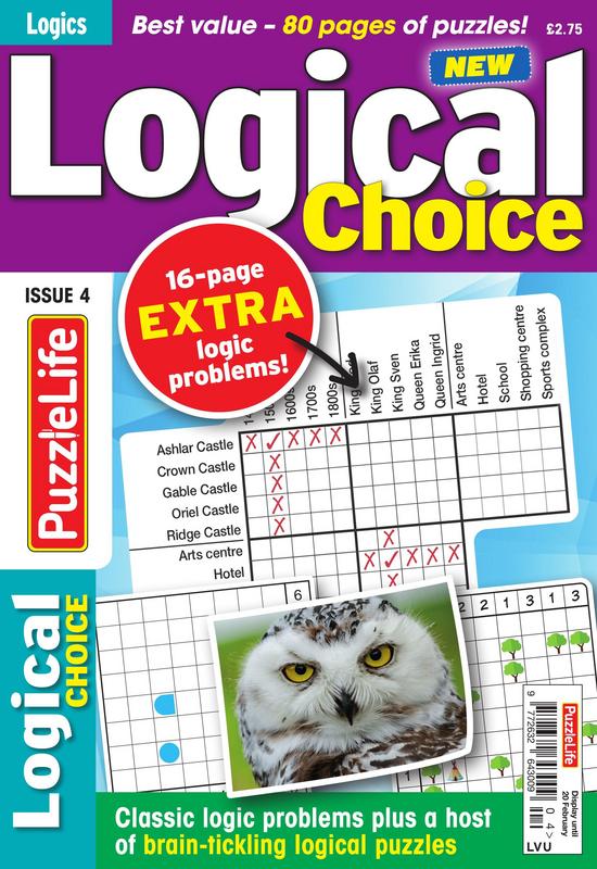 Puzzle-Life-Logical-Choice-I4-2019.jpg