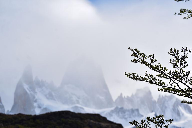 В джазе только девушки или аргентинско-бразильский калейдоскоп В джазе только девушки или аргентинско-бразильский калейдоскоп