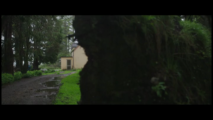 [Image: 8cxg5voi7hv9.png]