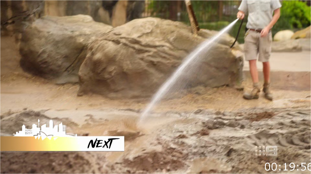 [Image: ac5e1s7iv0gj.png]