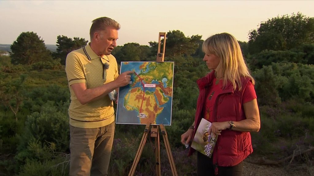 [Image: qte1vd897qjt.jpg]