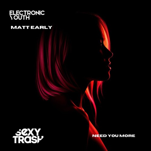00-electronic-youth-and-matt-early-need-