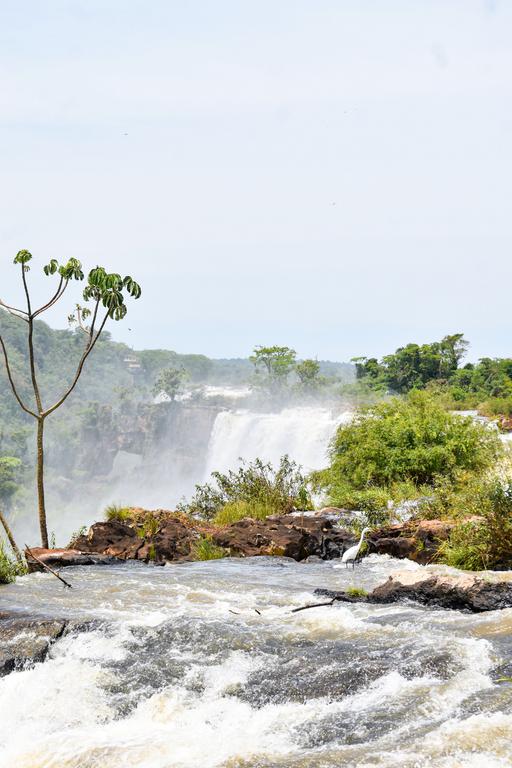 В джазе только девушки или аргентинско-бразильский калейдоскоп В джазе только девушки или аргентинско-бразильский калейдоскоп