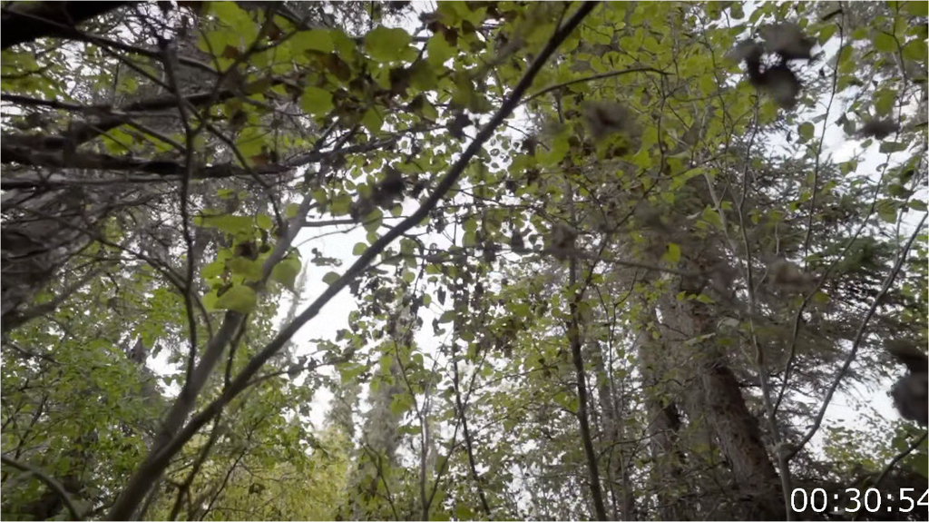 [Image: 6qr4otv64gfy.png]