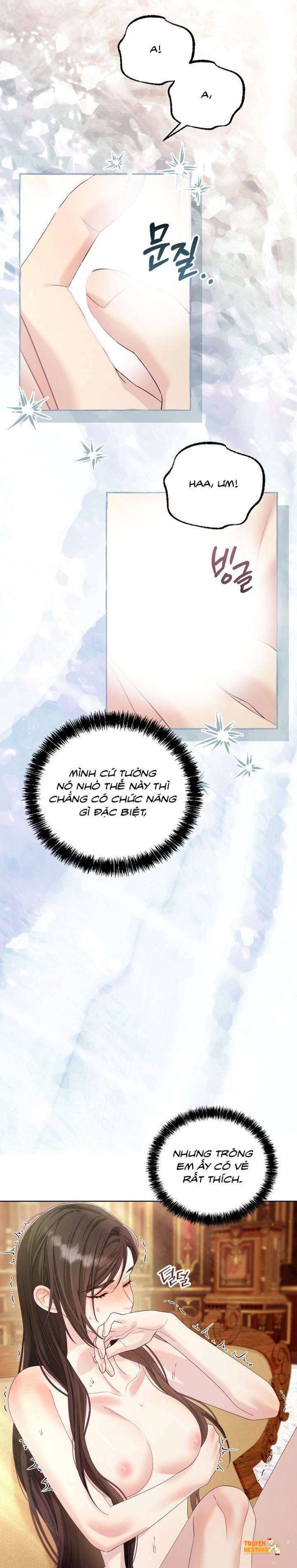 Xem ảnh [18+] Lồng Chim Của Người Sưu Tầm - Chapter 17 - tmp3df1593c - Truyenhentaiz.net