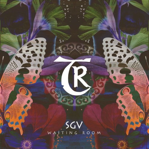 SGV - Waiting Room (2026) MP3