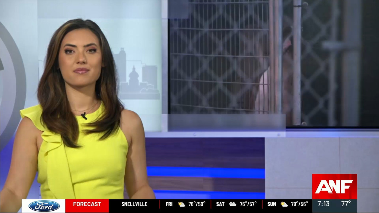 Atlanta News First at 7pm_20240426_00000030.ts_snapshot_15.23.685