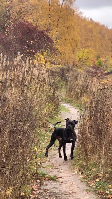 92C0B737-075A-4147-A021-209135315C8A