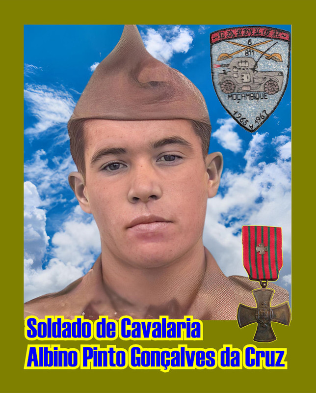 Albino Pinto Gonçalves da Cruz_920
