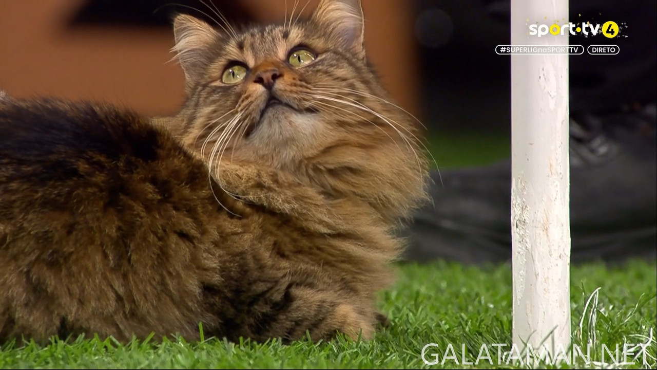 20241221-BES-ALY-TSL_1PT-1080.mkv_snapshot_01.20.089