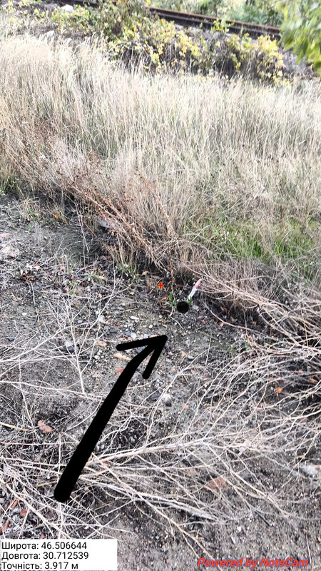 photo 11 2025 10 24 17 49 34