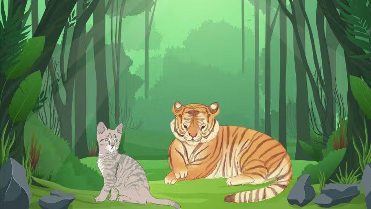 Kisah Kucing Sang Guru