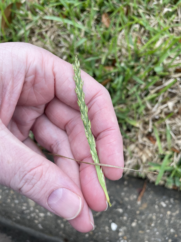 4AFF633A-C632-4511-B198-995441ECE0FB