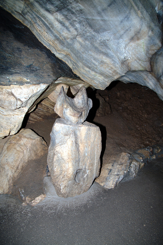 Obrázek
