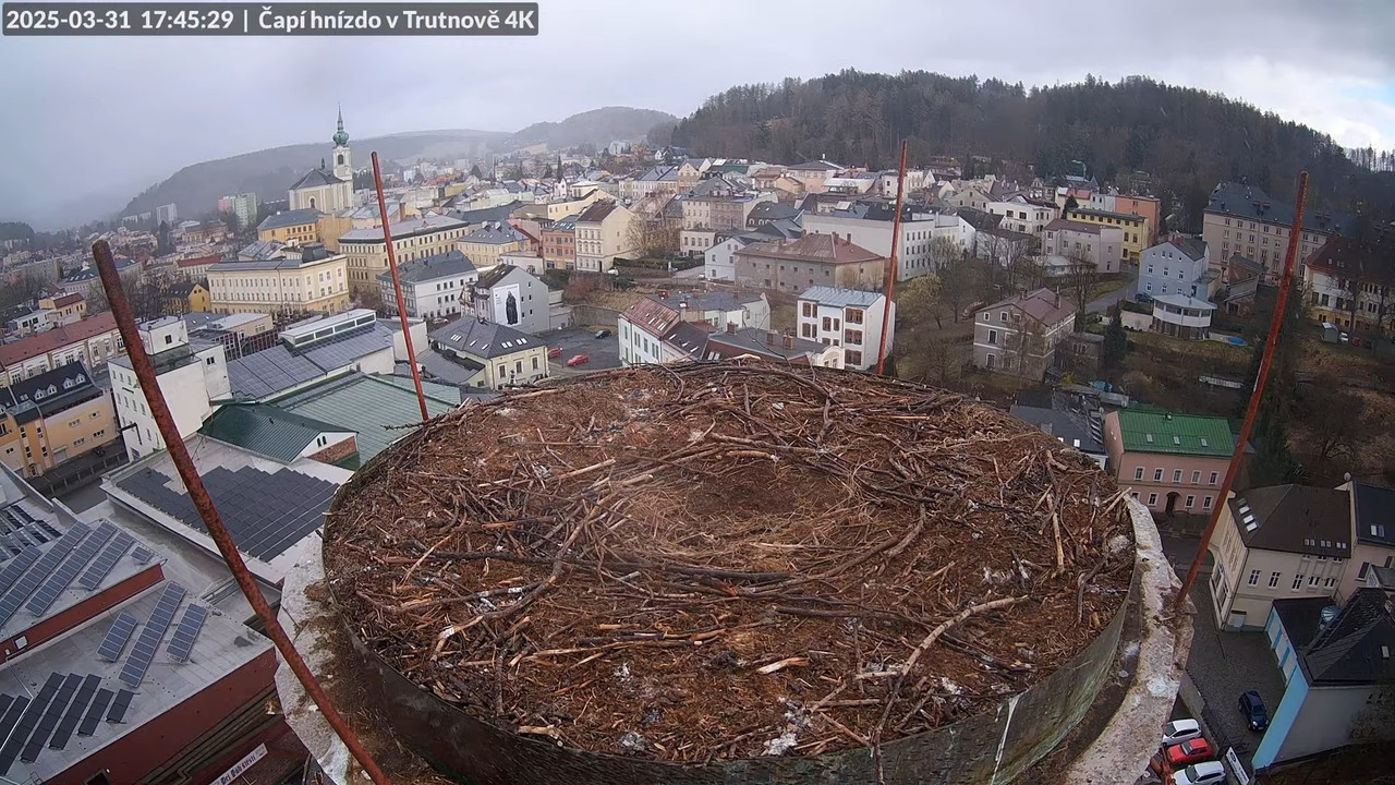 Živě z čapího hnízda na pivovarském komíně v Trutnově 17-50-25 screenshot