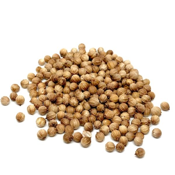 COREANDRO ENTERO (cilantro)