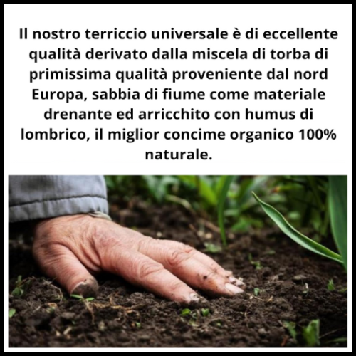 TERRICCIO UNIVERSALE ORGANICO BIOLOGICO NATURALE FERTILIZZANTE PER PIANTE CON HUMUS DI LOMBRICO