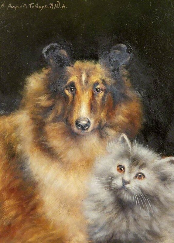 1-A-Study-of-a-Collie-and-a-Cat