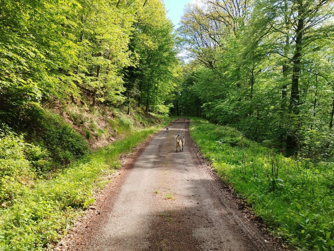 photo 2026 05 15 18 20 16
