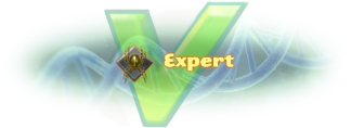 Credit-Expert.png