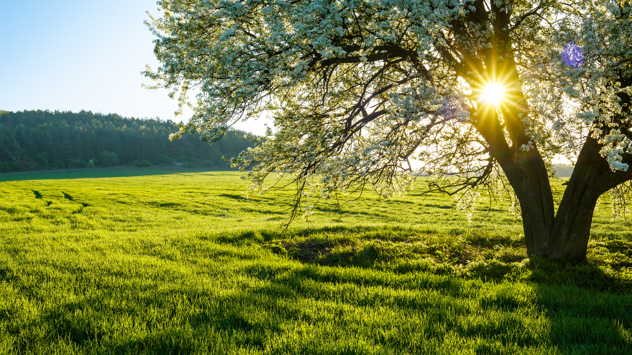 Sunrise over Thame fields