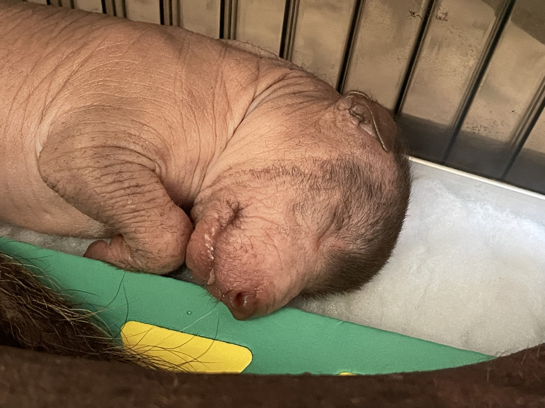 01983524-341C-416E-903B-3AE50178DC4B