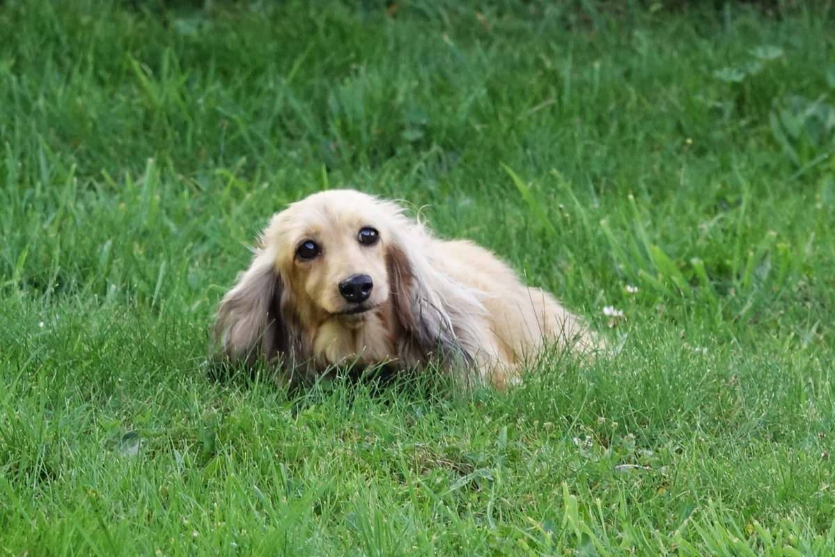 [Image: Norma-8.jpg]