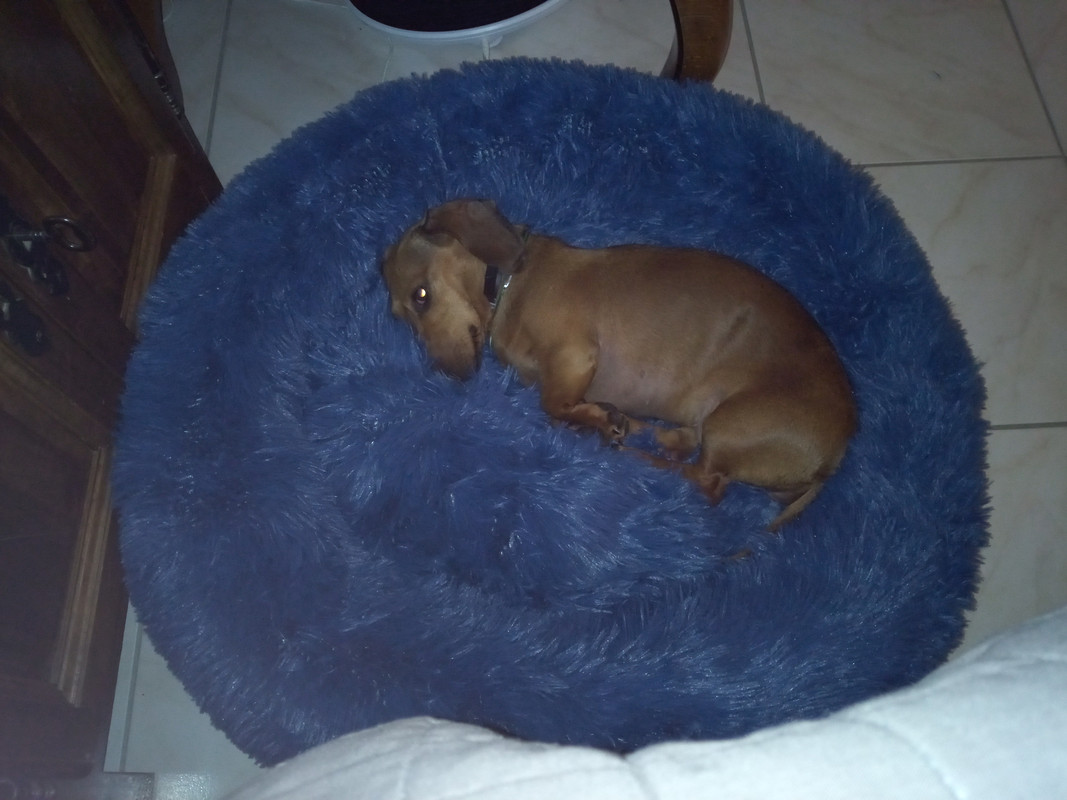 [Image: IMG-2024-04-07-07-07-03-740.jpg]