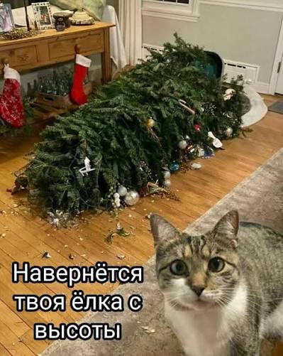 images (7)