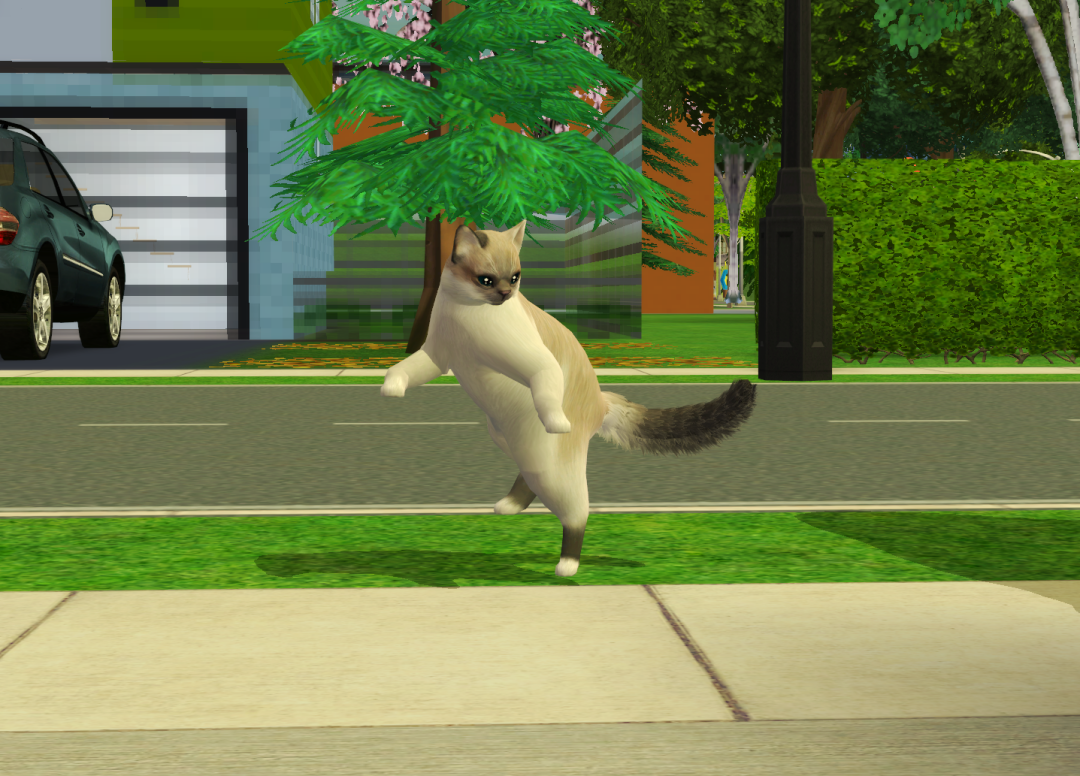 Sims2-EP9-RPC-2023-06-03-22-52-38-51