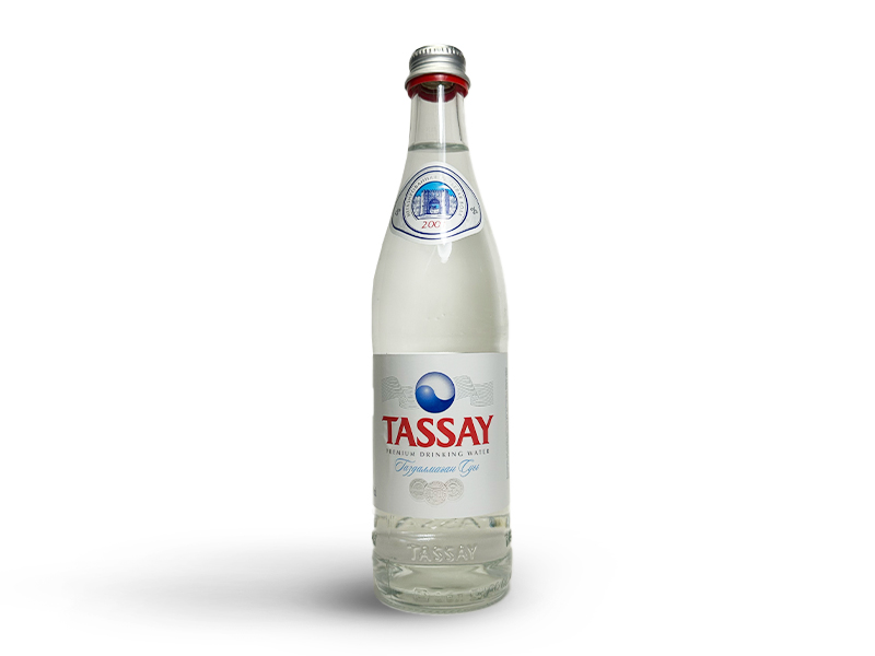 Tassay (0.5л)
