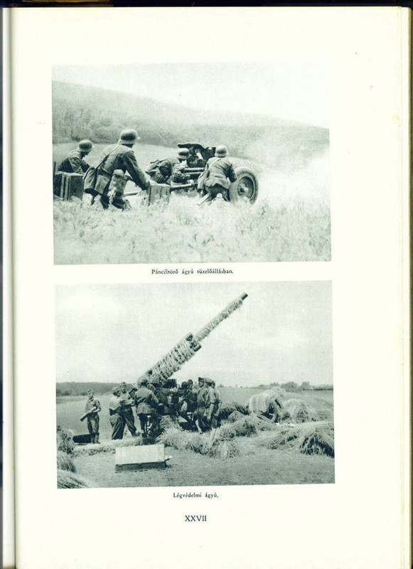 2013. augusztus 5. (2)