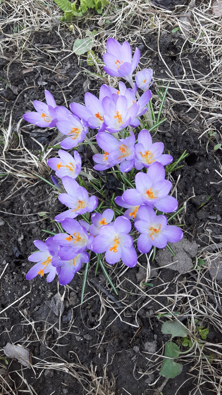 20190308_125543