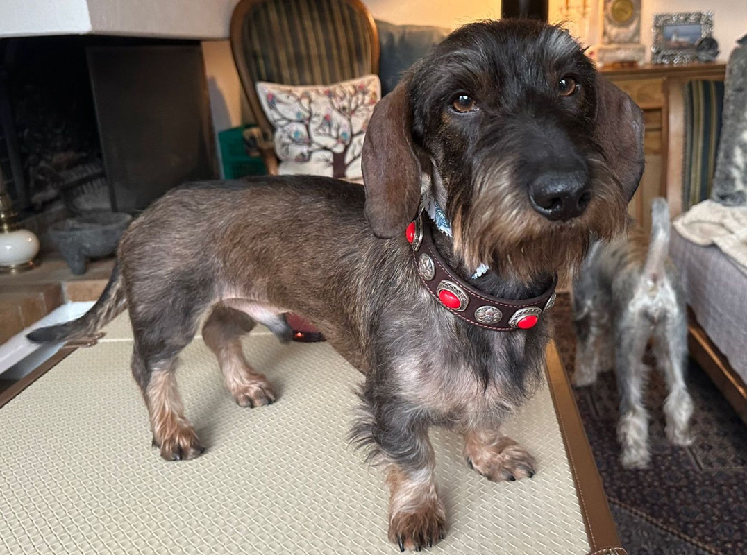 [Image: IMG-20250208-WA0001.jpg]