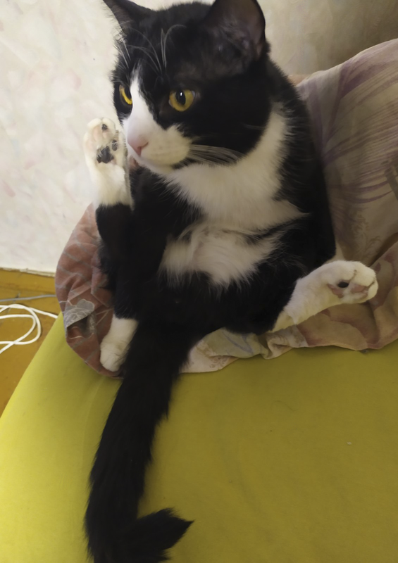 изображение_viber_2021-02-08_15-53-39