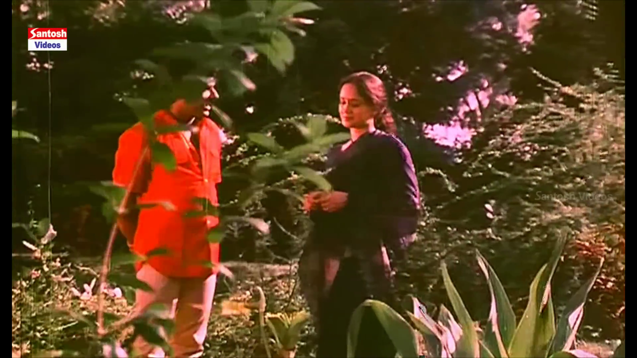 vlcsnap 2025 12 05 15h37m29s564