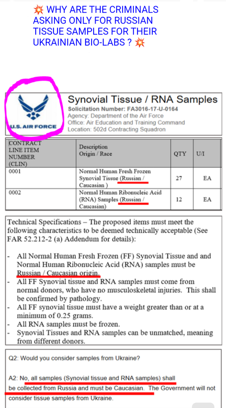 semislāvu prozelenski cibiņi be like oops