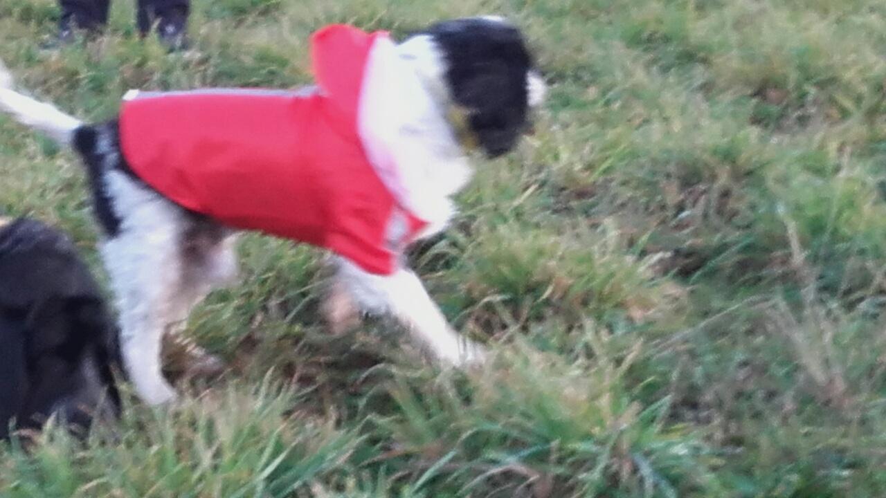 Кинг гуляет по горам1