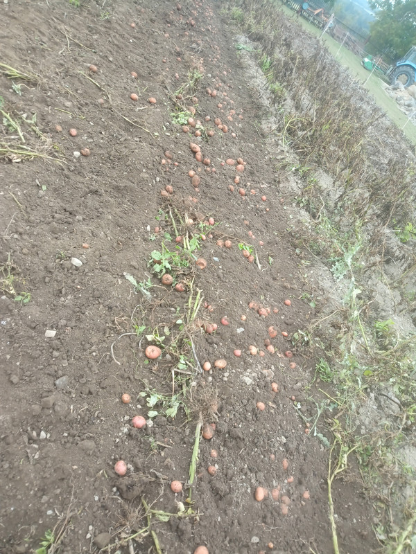 IMG_20251004_143152_343