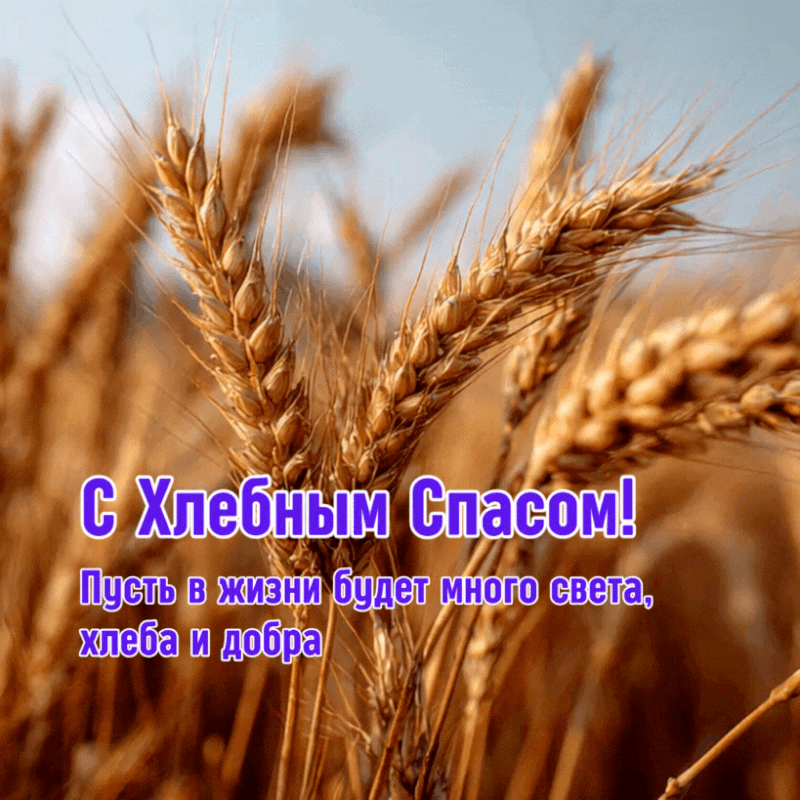 С Днём Святой Троицы! Пусть мир и благодать будут с вами всегда. (2)_0